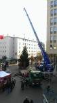 Weihnachtsbaum vor Rathaus aufgestellt