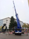Weihnachtsbäume für LU - Bildquelle LUKOM GmbH
