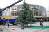 Weihnachtsbaum 2013 berliner Platz