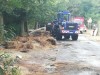 Einsatz in Birkenheide am 14.08.2020