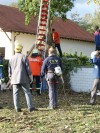 Baumfällen mit Hindernissen in Birkenheide