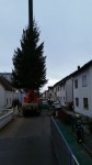 Weihnachtsbaum BP 3