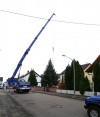 Weihnachtsbaum Rathausplatz 2015_1