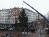 Weihnachtsbaum auf dem Rathausplatz