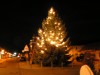 Weihnachtsbaum für Maudach