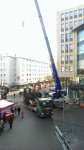 Weihnachtsbaum vor Rathaus aufgestellt_2