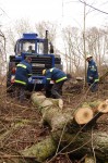 Vernässungsmaßnahme im Maudacher Bruch 5