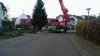 Weihnachtsbaum vor Rathaus aufgestellt_3