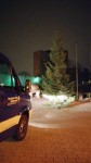 Weihnachtsbaum im Stadtteil Pfingstweide wieder aufgestellt
